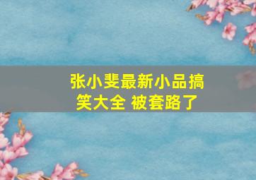 张小斐最新小品搞笑大全 被套路了